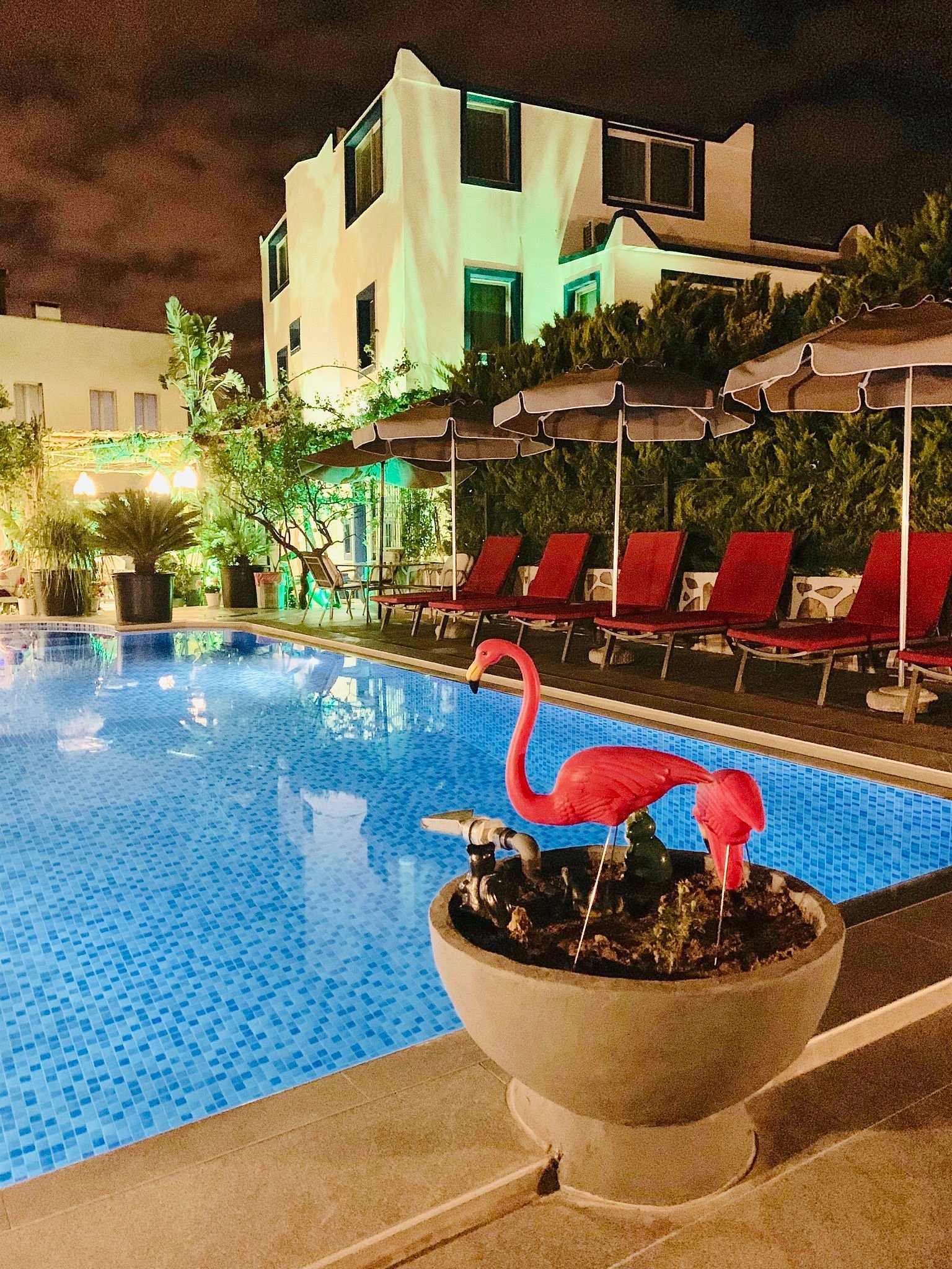 Artunc Hotel Bodrum photo 10