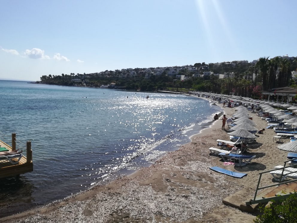 Meteor Beach Hotel photo 8