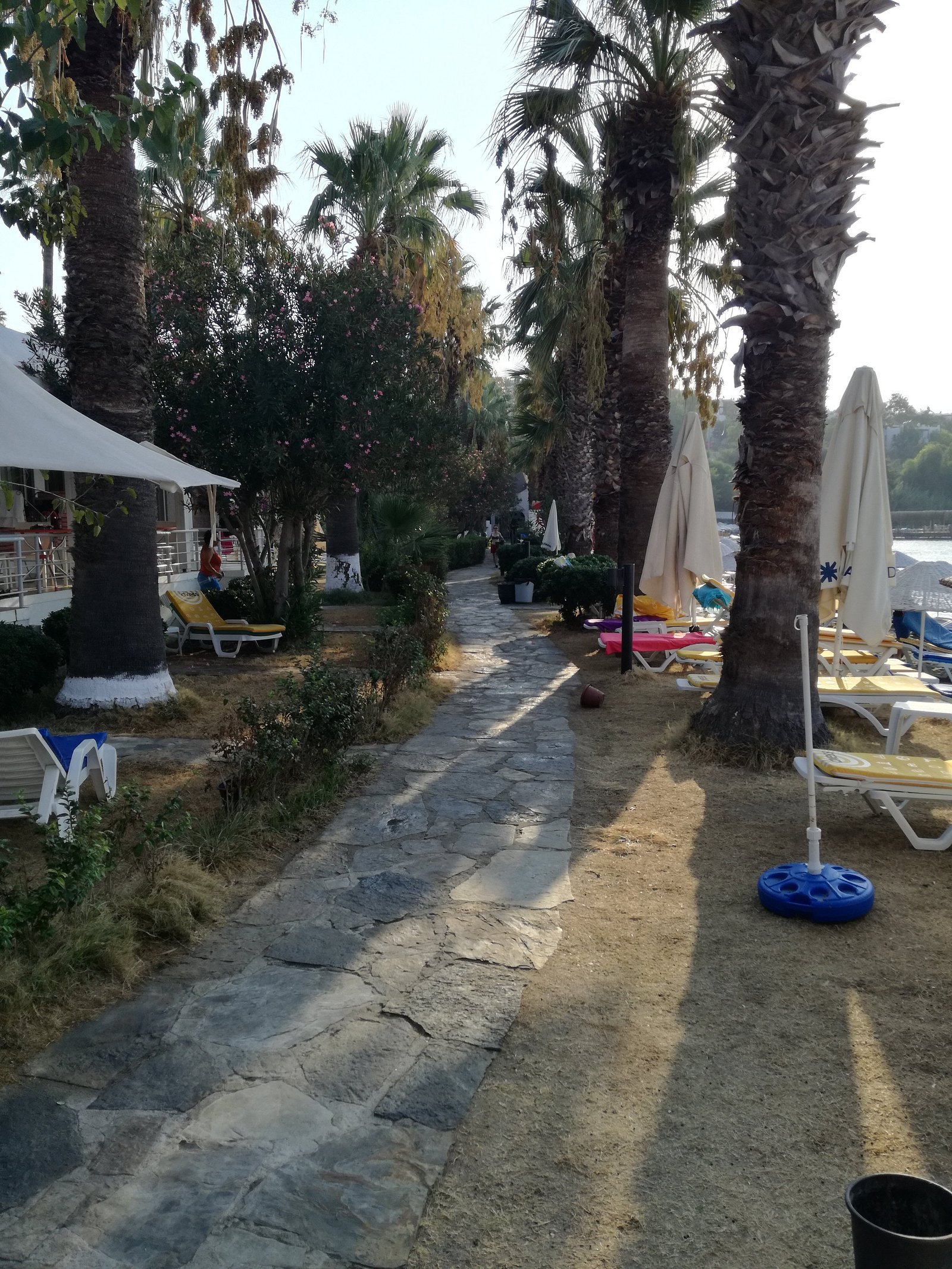 Meteor Beach Hotel photo 5