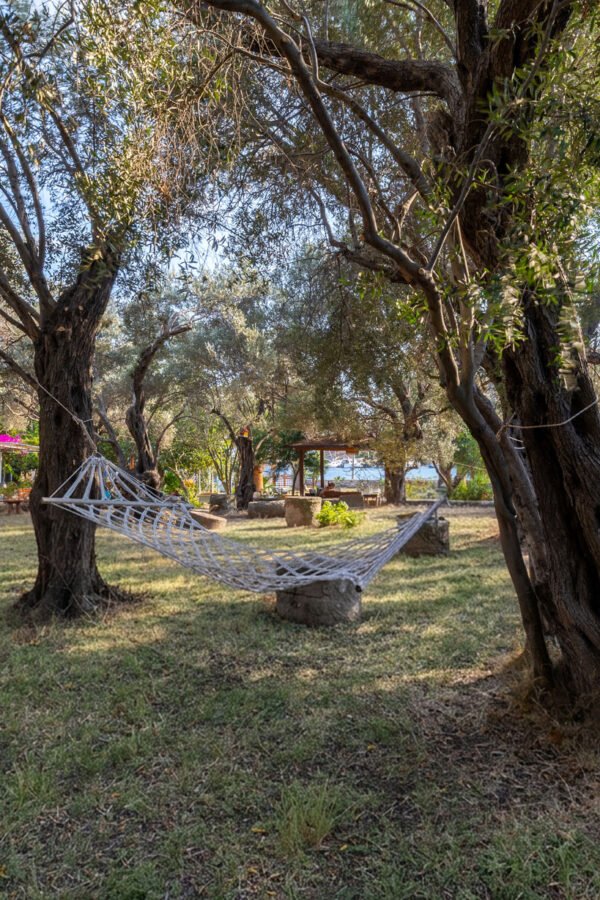 Koza Gümüşlük photo 2