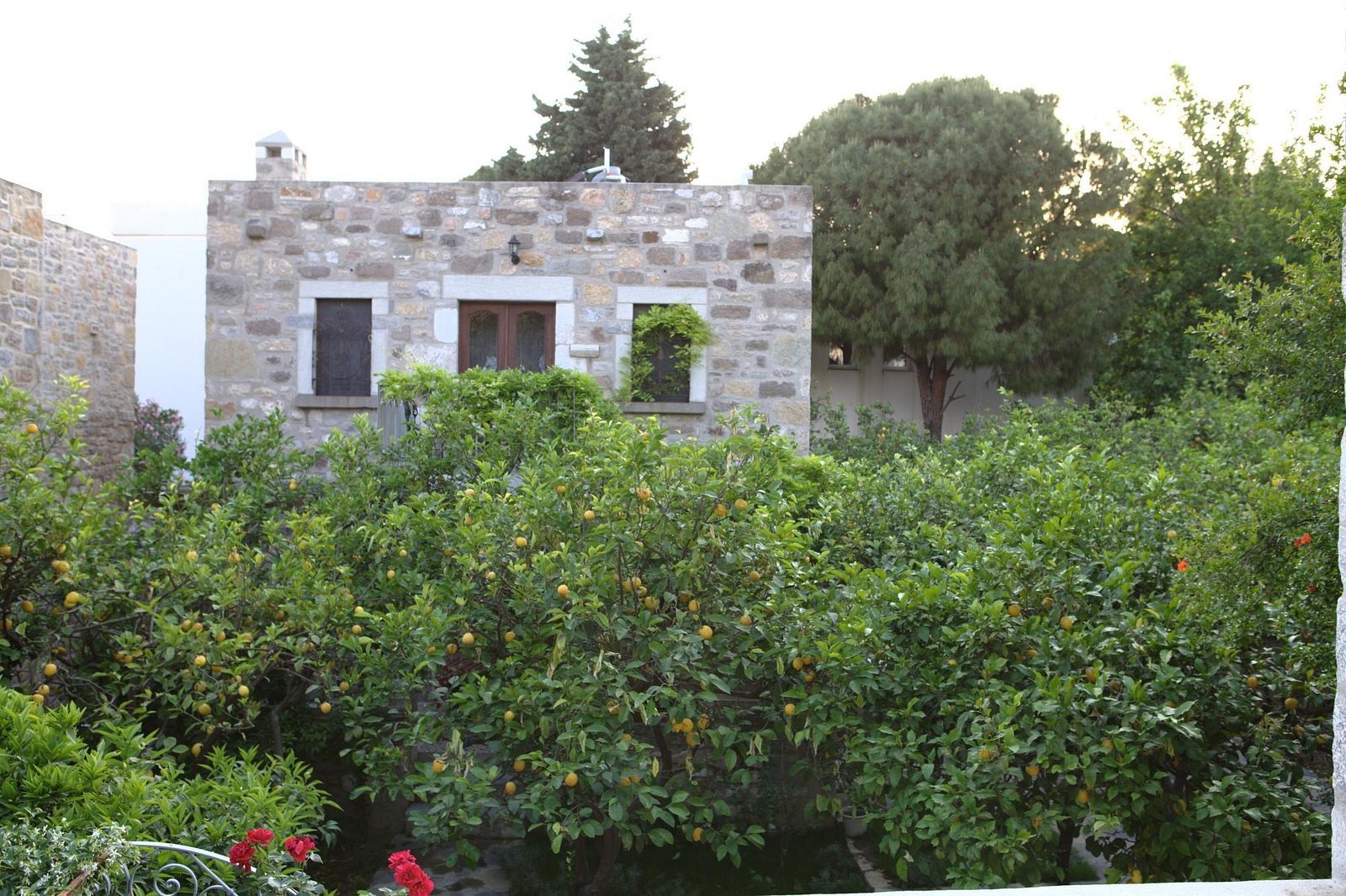 Ha La Bodrum photo 10