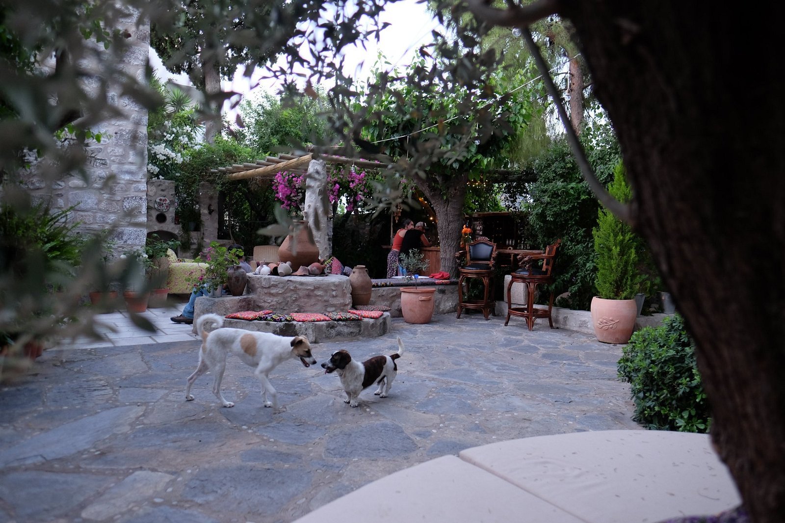 Ha La Bodrum photo 6