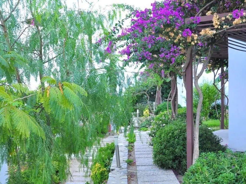 Milport Hotel Bodrum photo 9