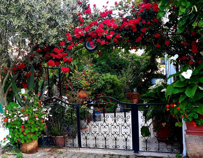 Akgül Pansiyon — Kuşadası