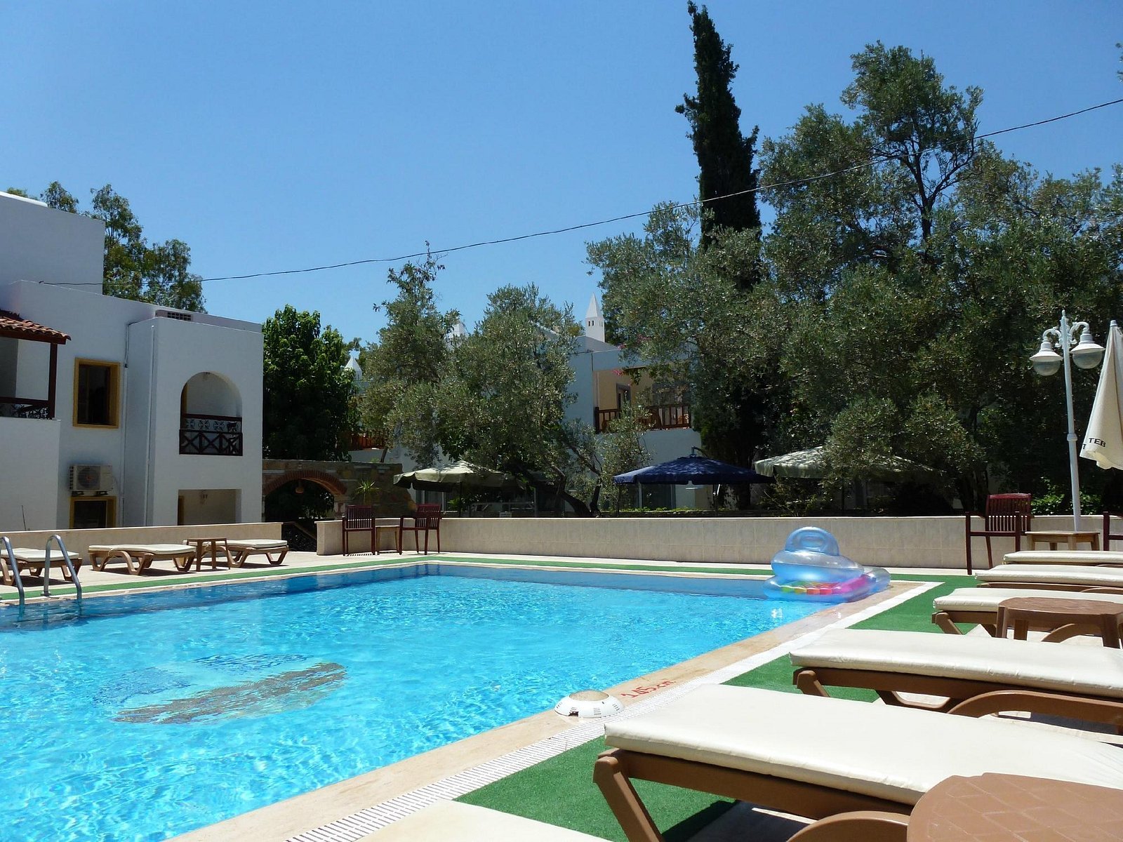 Toloman Hotel photo 7