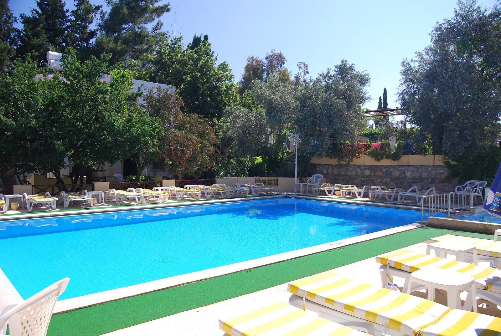 Toloman Hotel photo 6