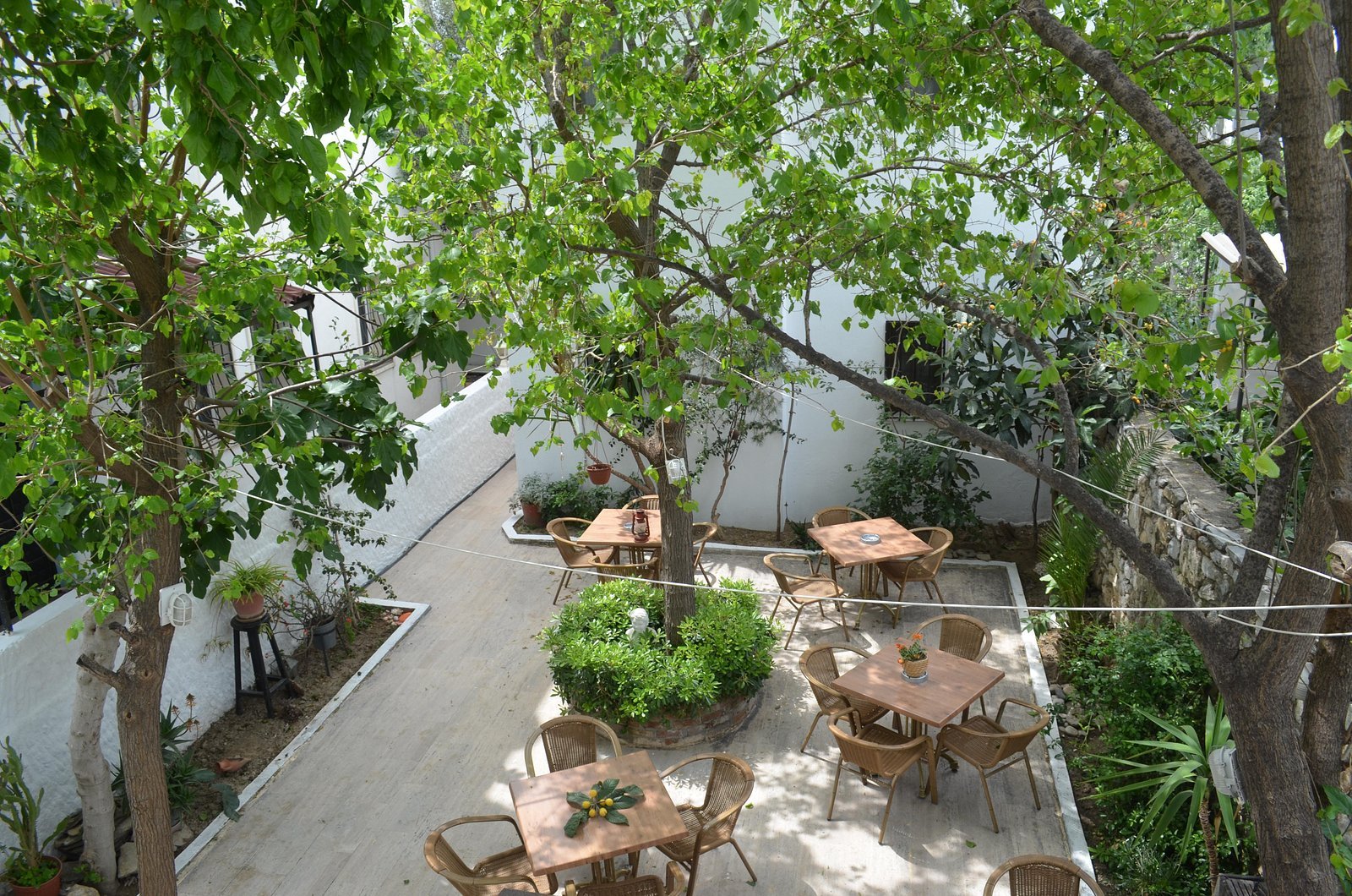 Tay Pansiyon photo 2