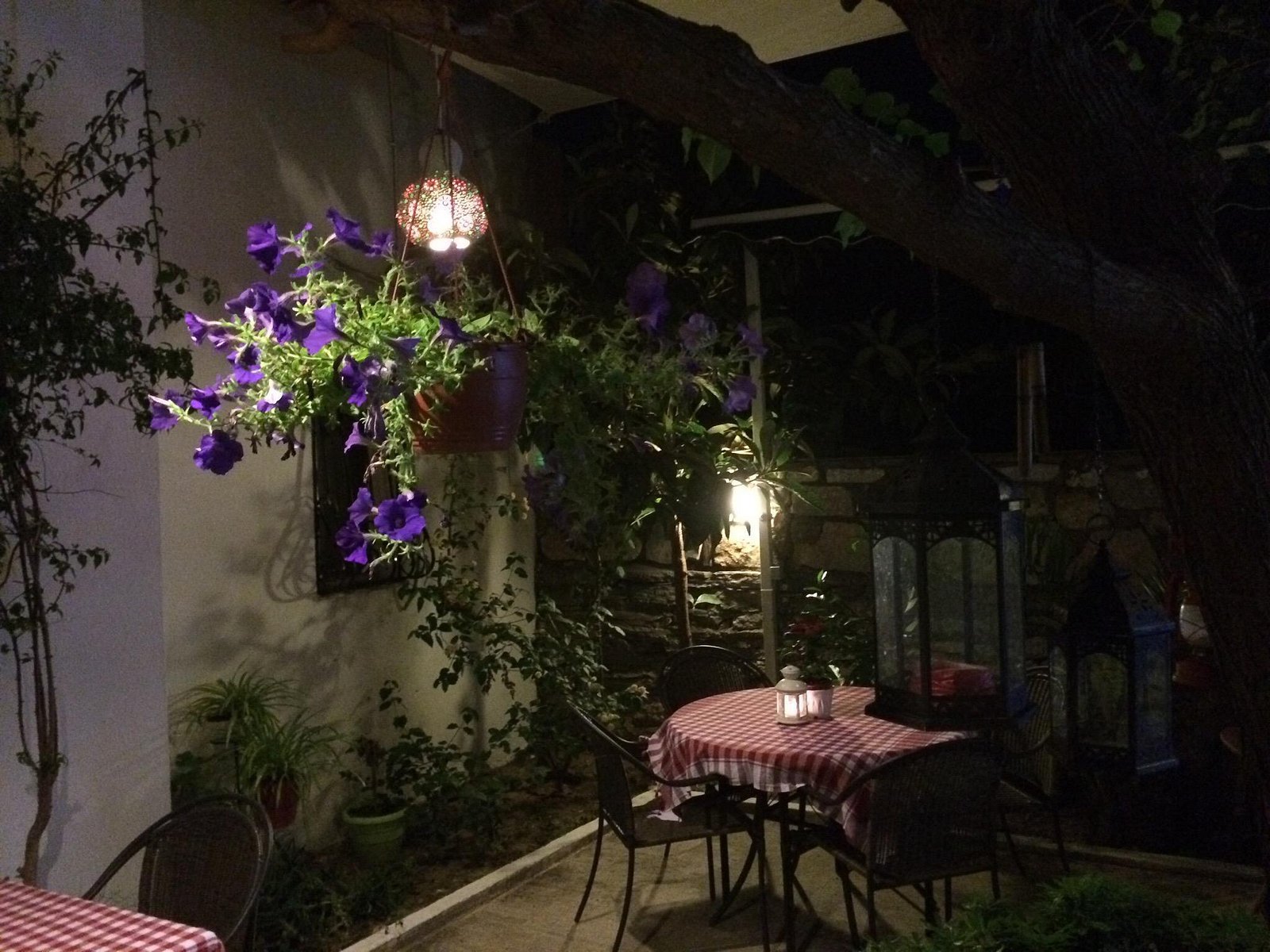 Tay Pansiyon photo 6