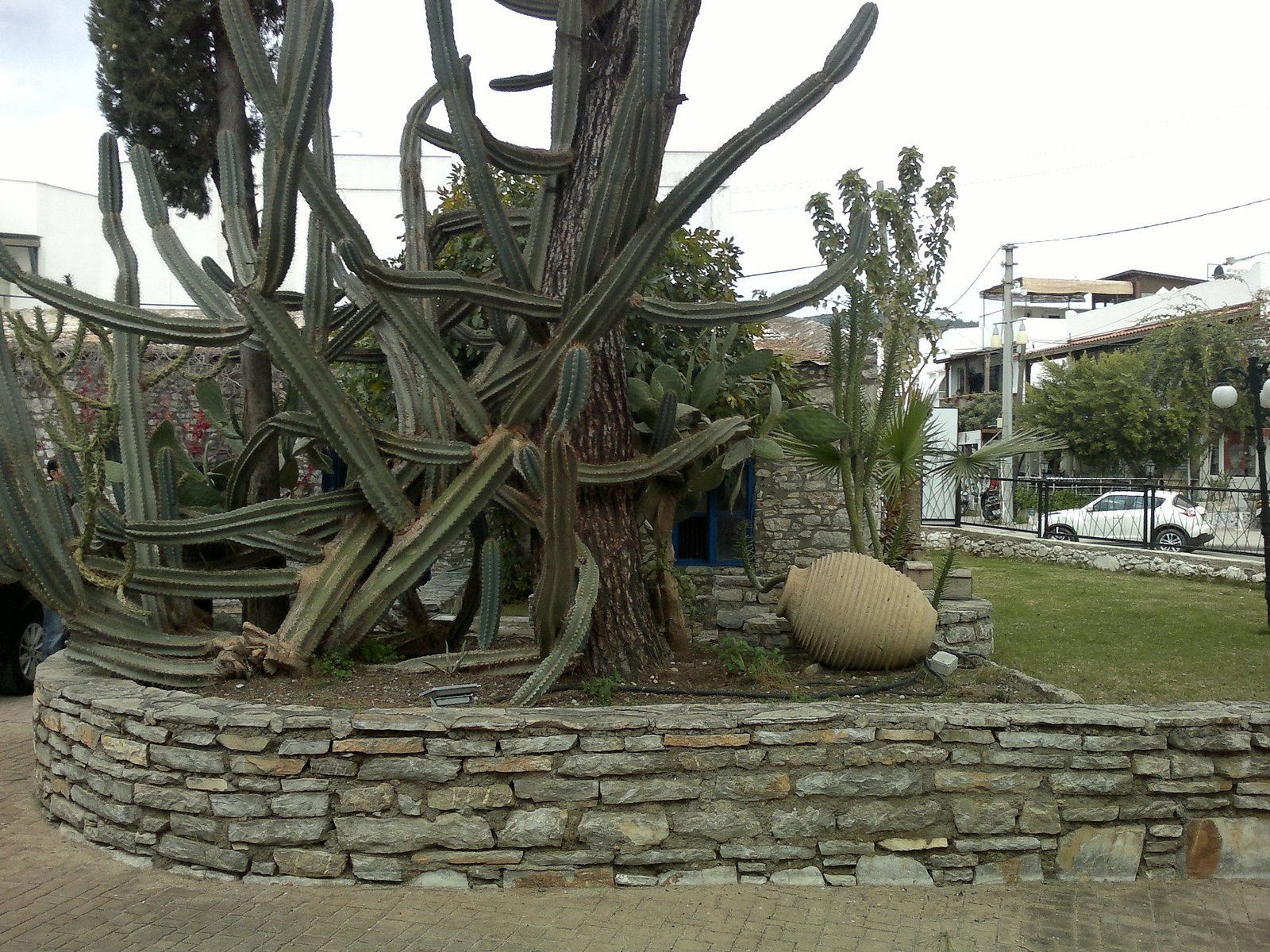 Atrium Hotel photo 3