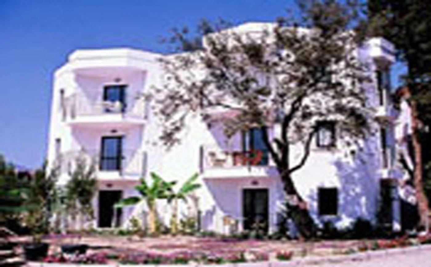 Club La Luna photo 2