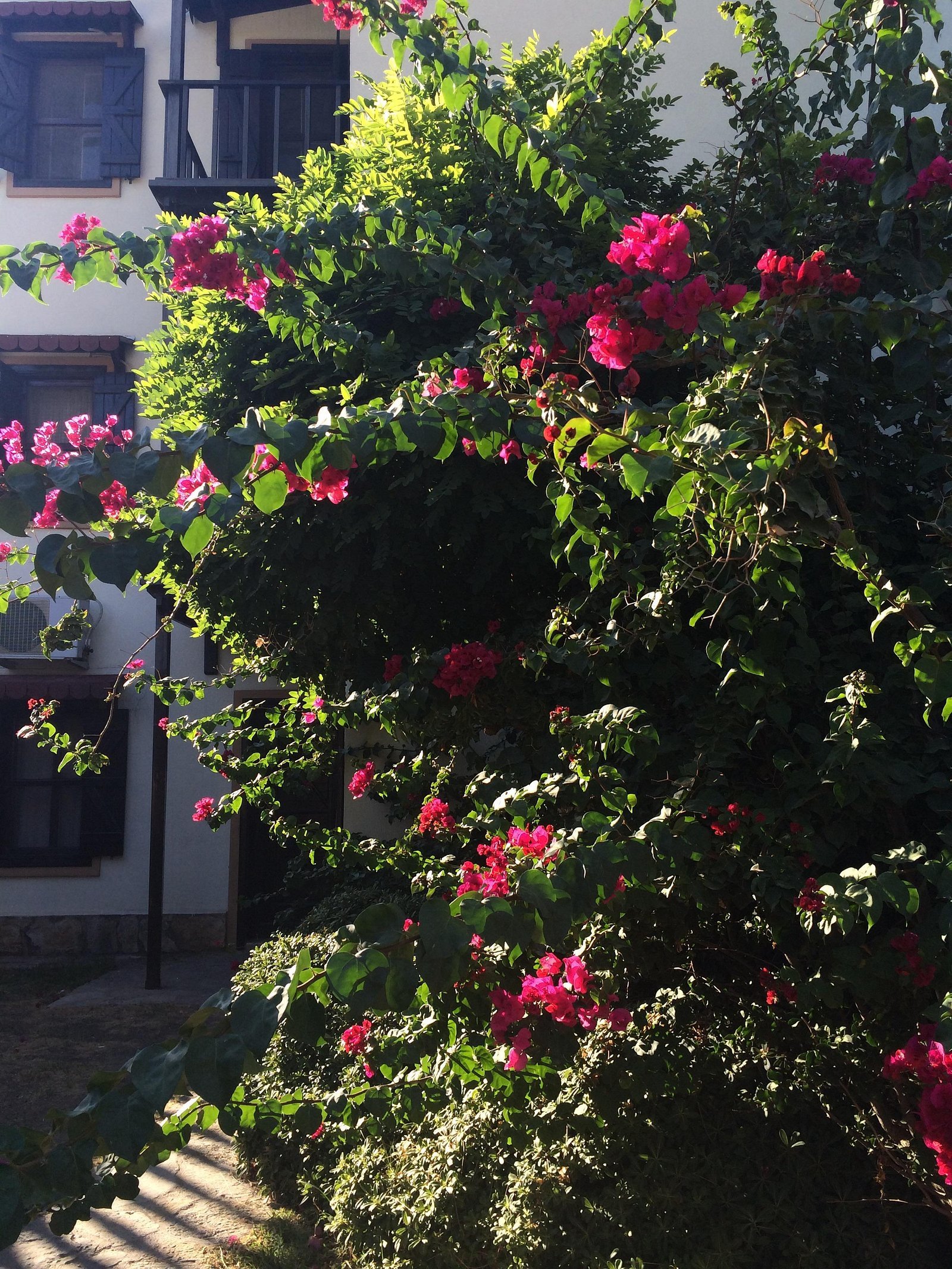 Ale Suite Hotel — Bodrum