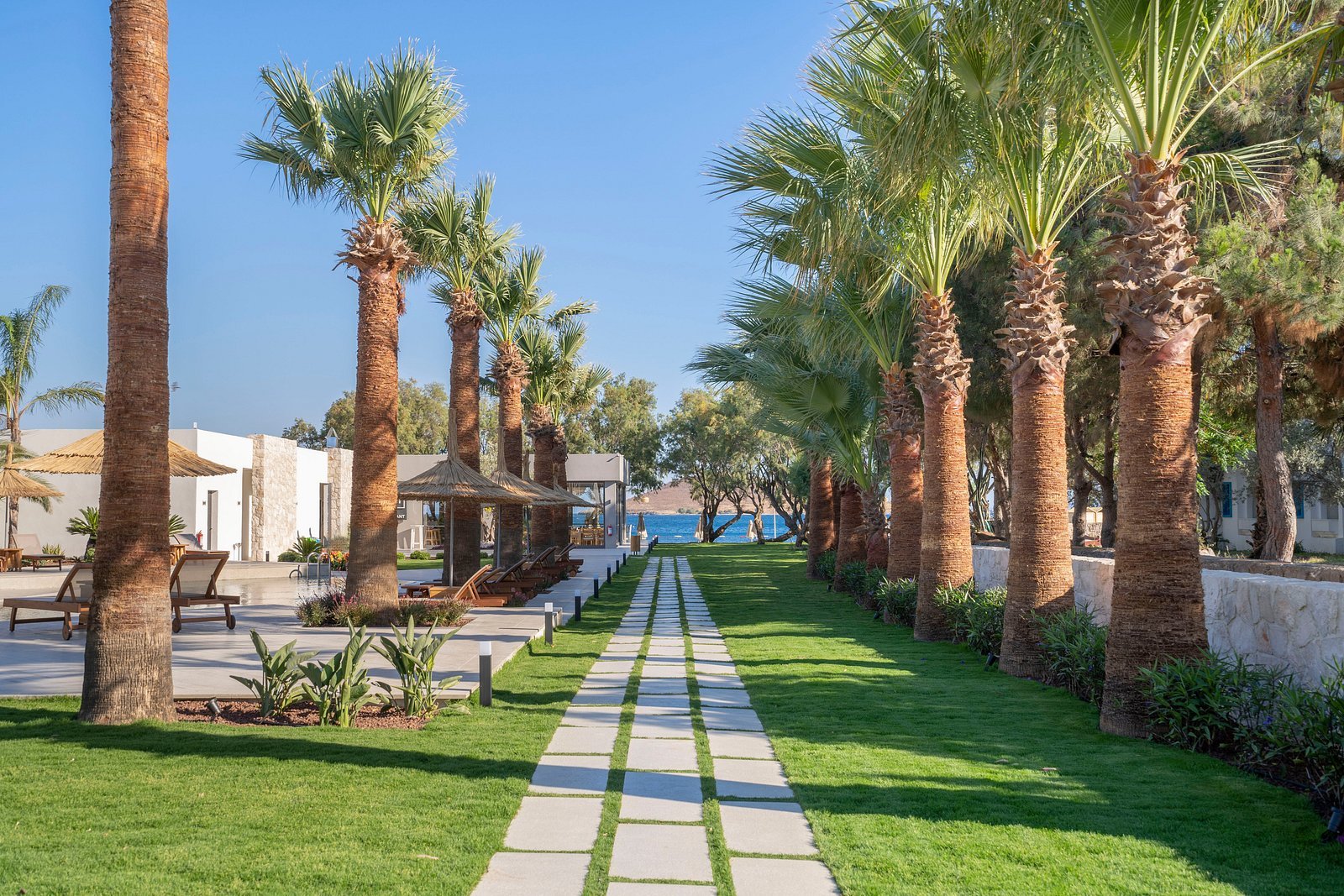 Regia Mare Beach Hotel & Spa Bodrum photo 4