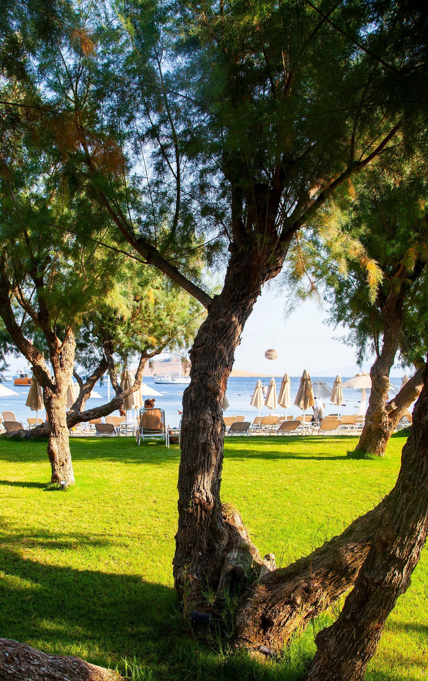 Regia Mare Beach Hotel & Spa Bodrum photo 5