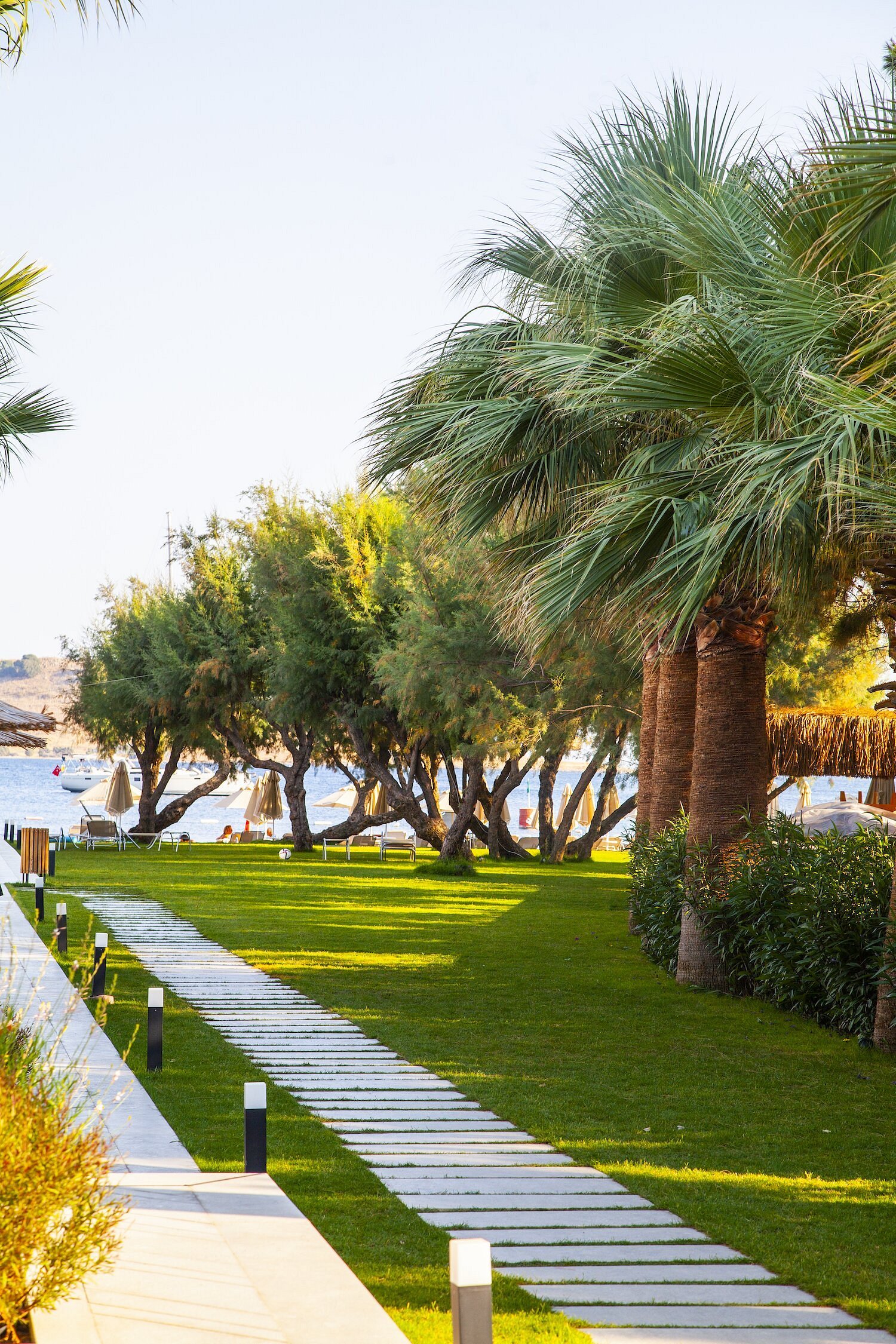 Regia Mare Beach Hotel & Spa Bodrum photo 6