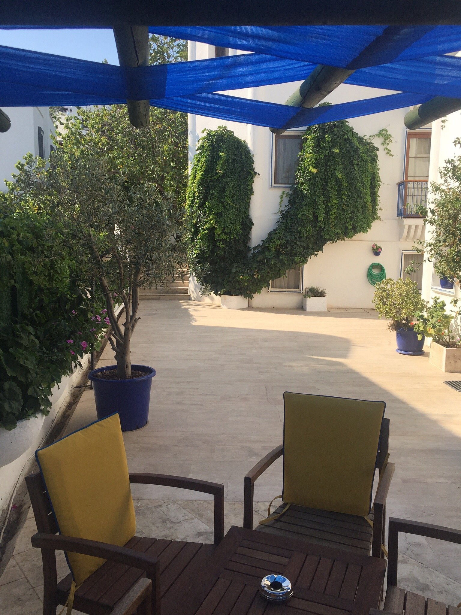 Hotel Eden photo 4