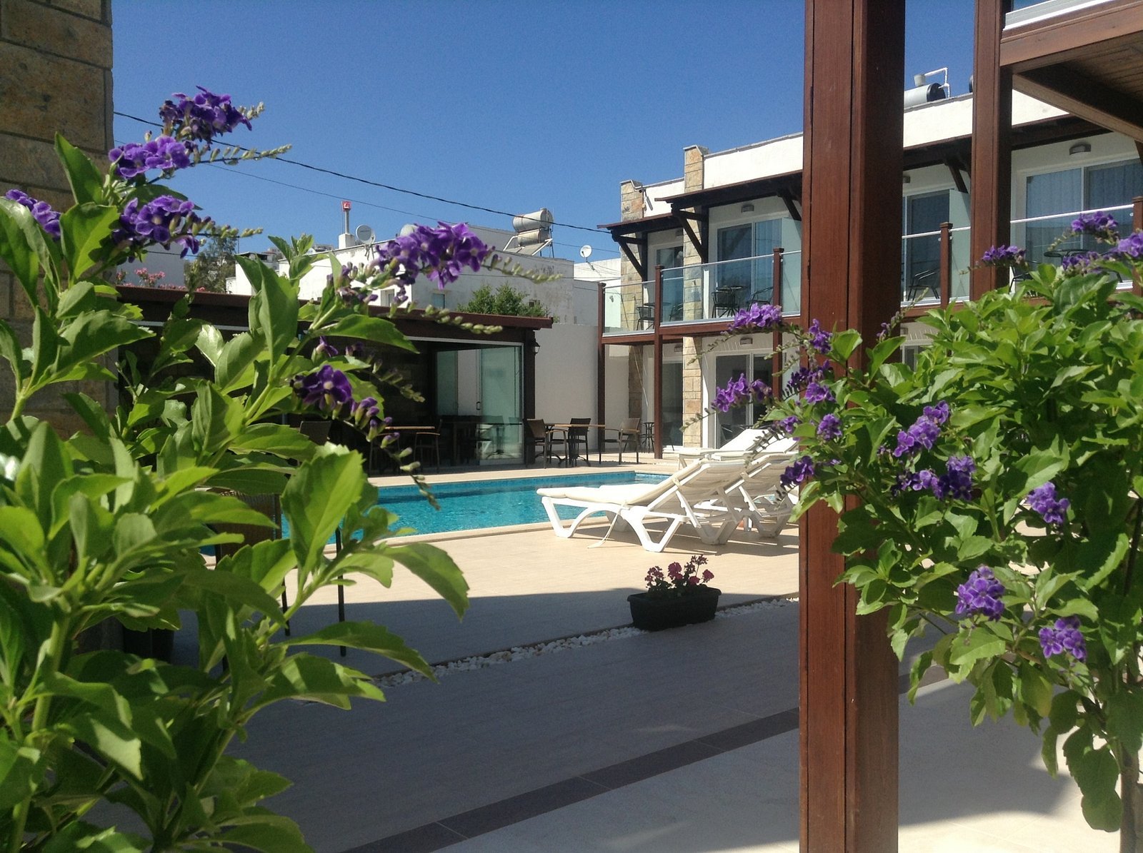 Cotton Boutique Hotel photo 5
