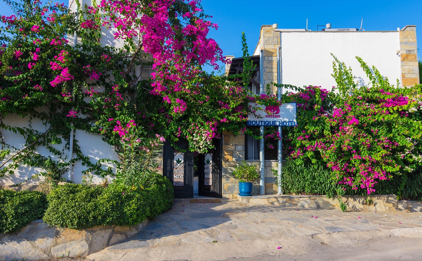 Cotton Boutique Hotel — Gümbet, Bodrum