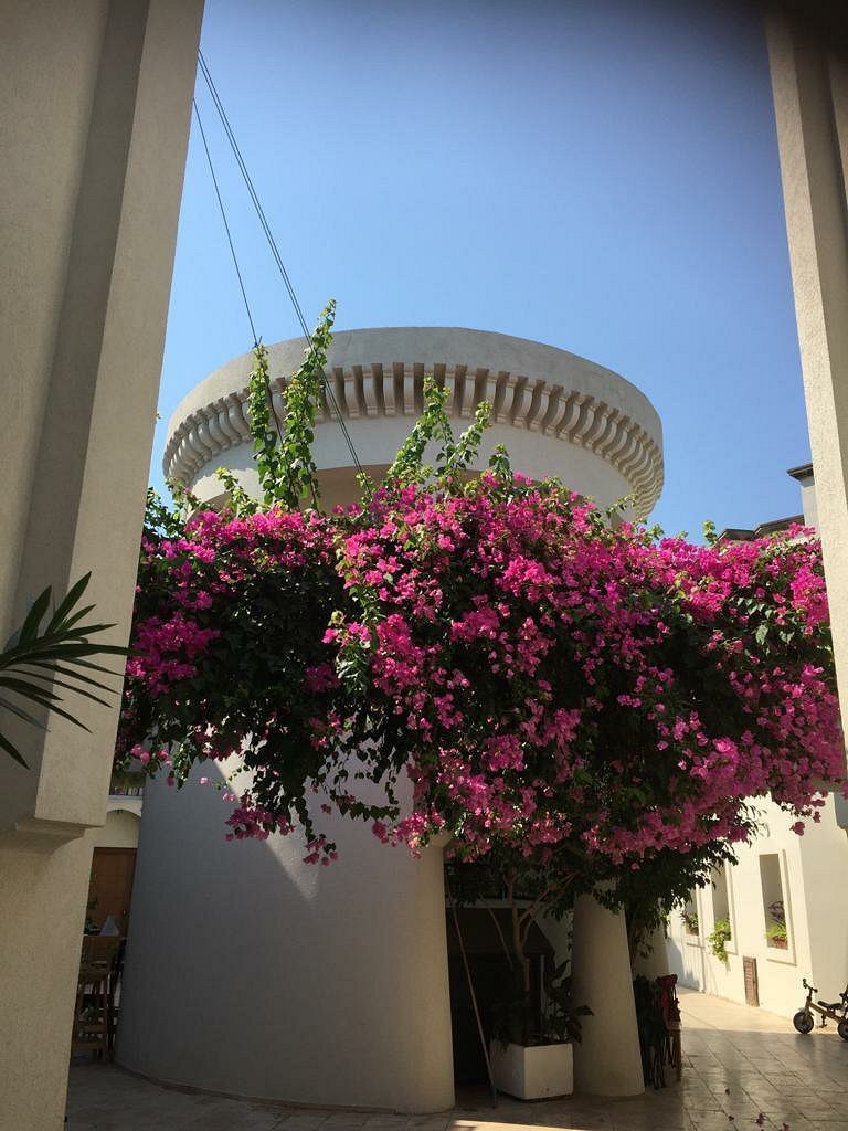 Karayel Apart Hotel photo 6
