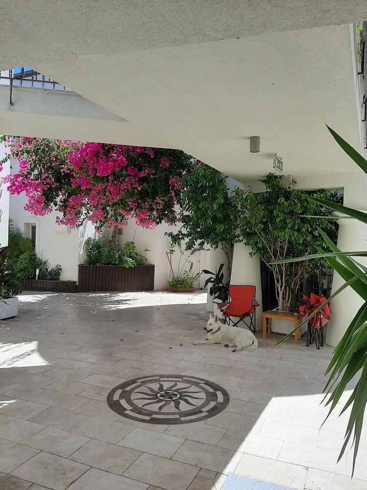 Karayel Apart Hotel photo 5