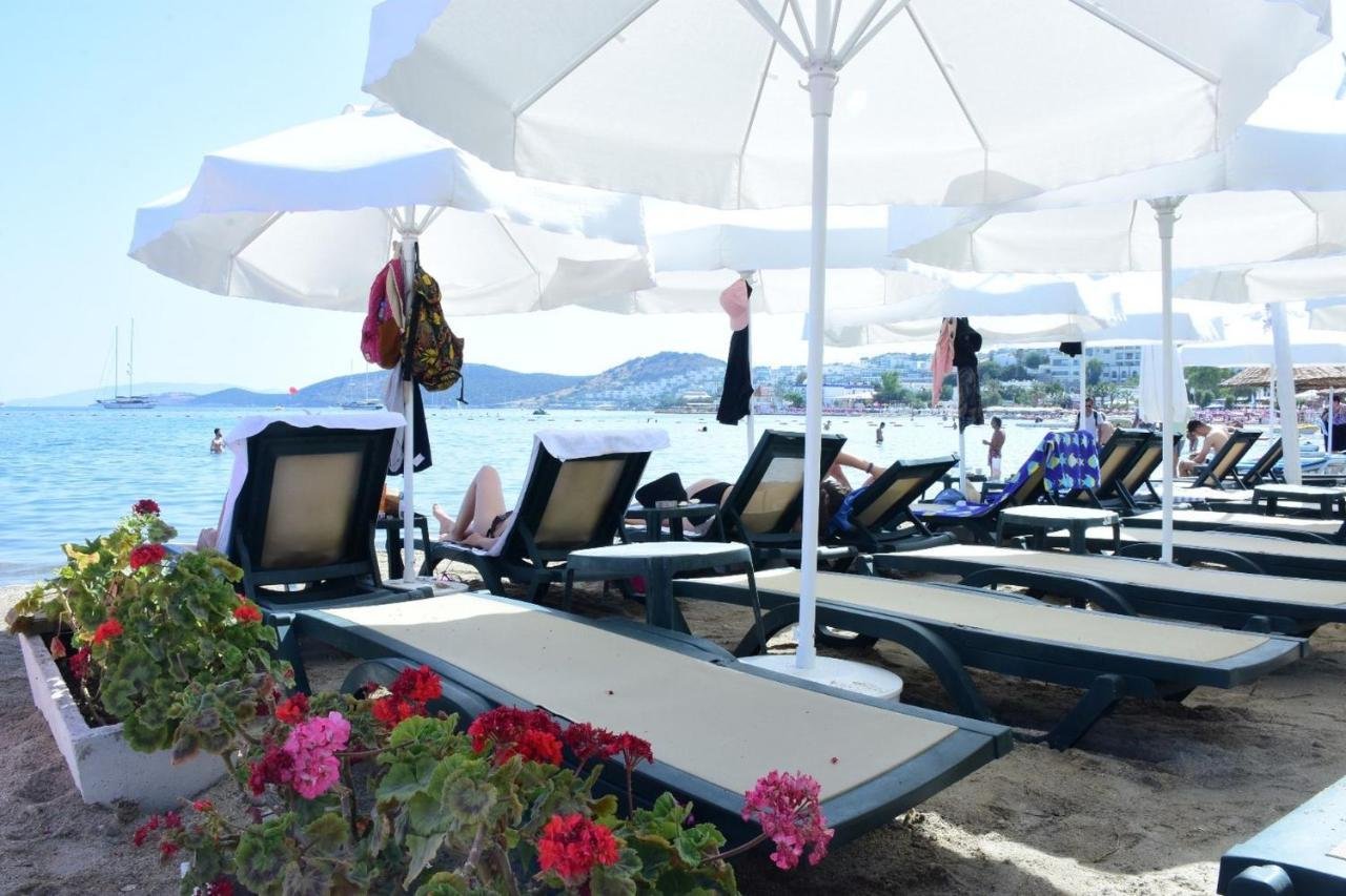 Sun Beach Resort photo 4