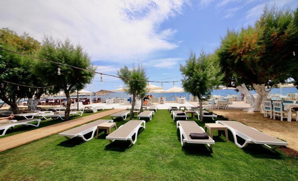 Ali's Hotel Beach photo 3