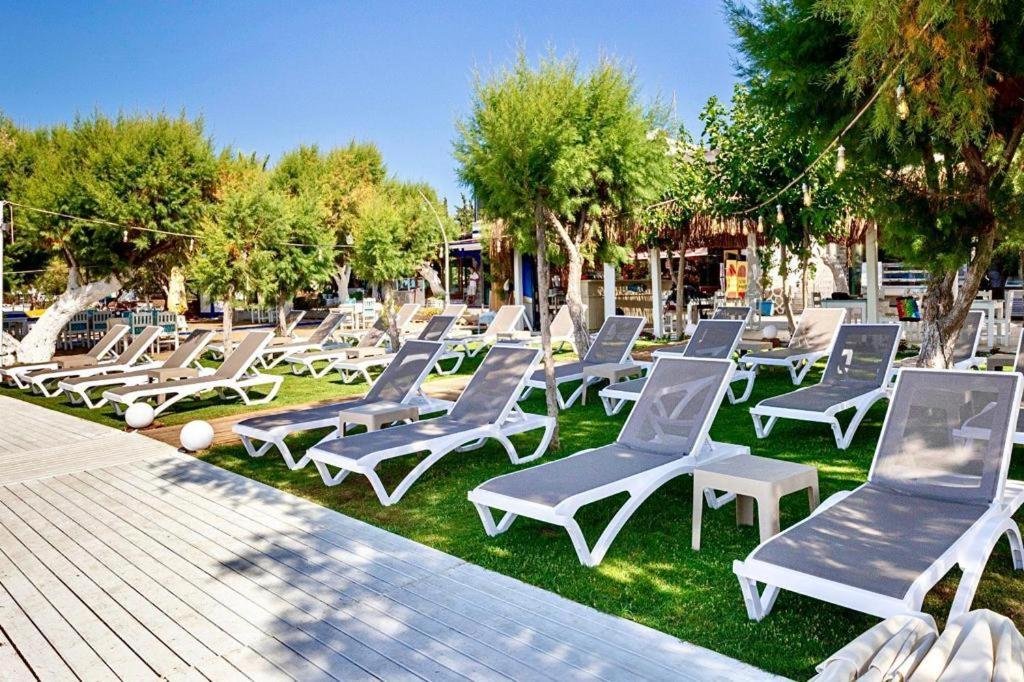 Ali's Hotel Beach photo 4