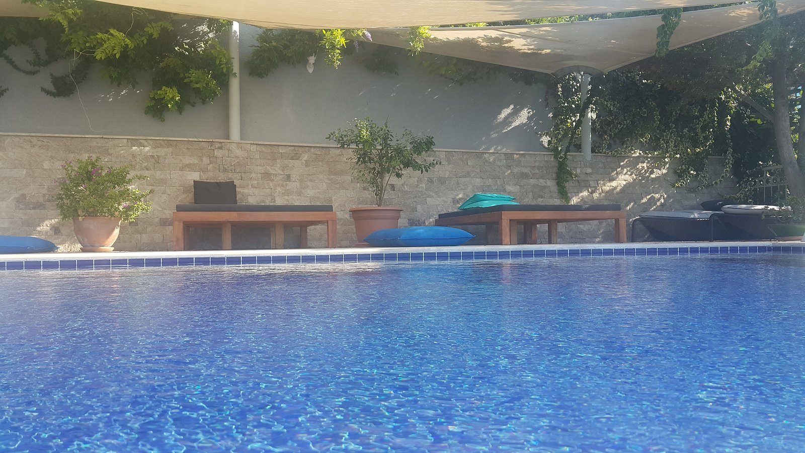 Ece Boutique Hotel photo 17