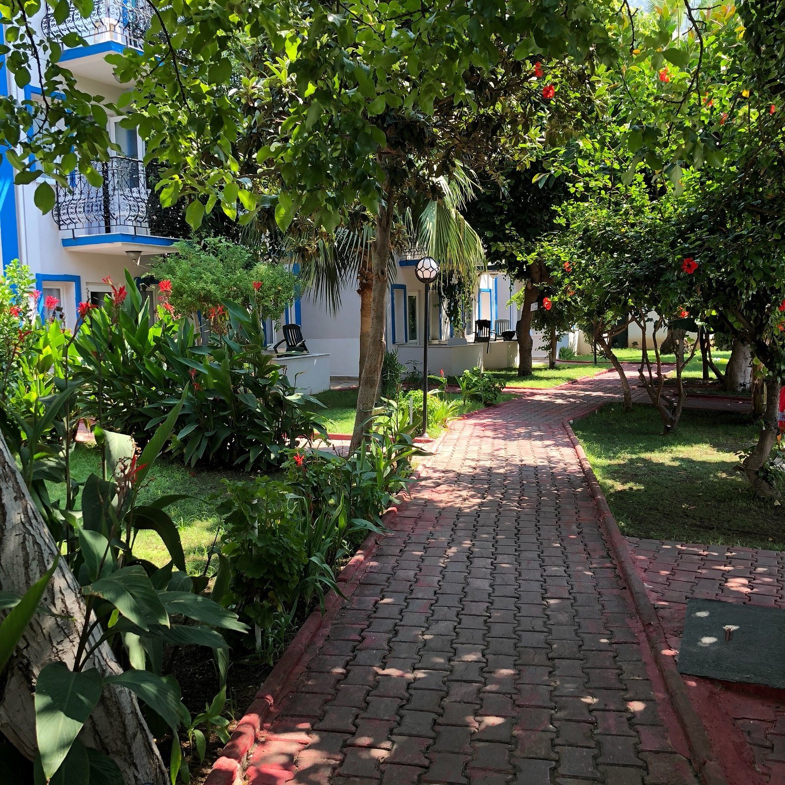 Akdeniz Beach Hotel photo 5