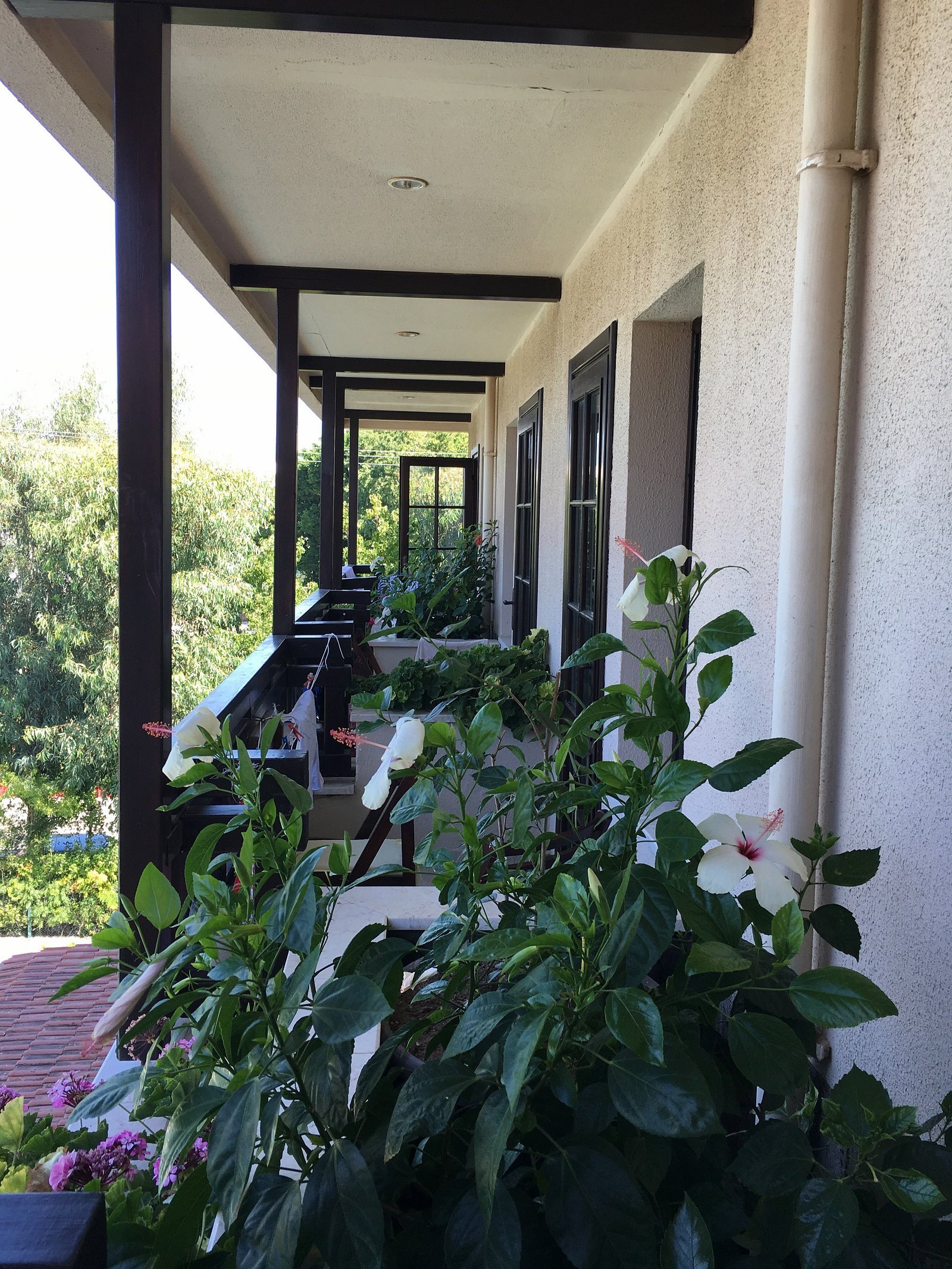 Hotel Club E photo 5