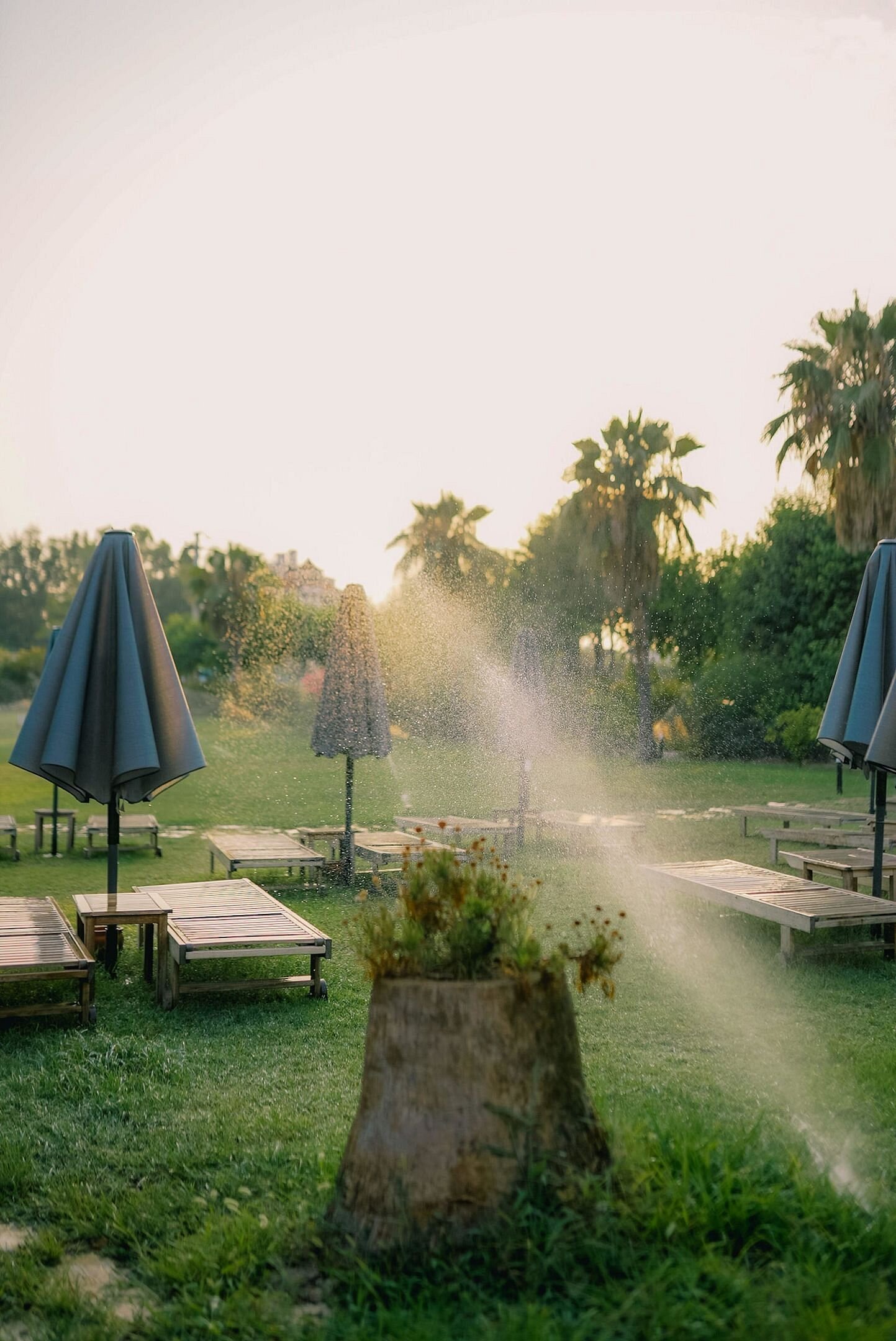 Hotel Club E photo 2