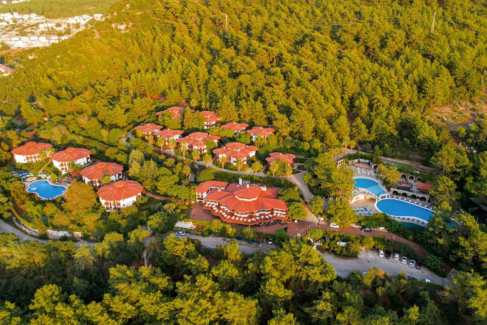 Montana Pine Resort photo 5