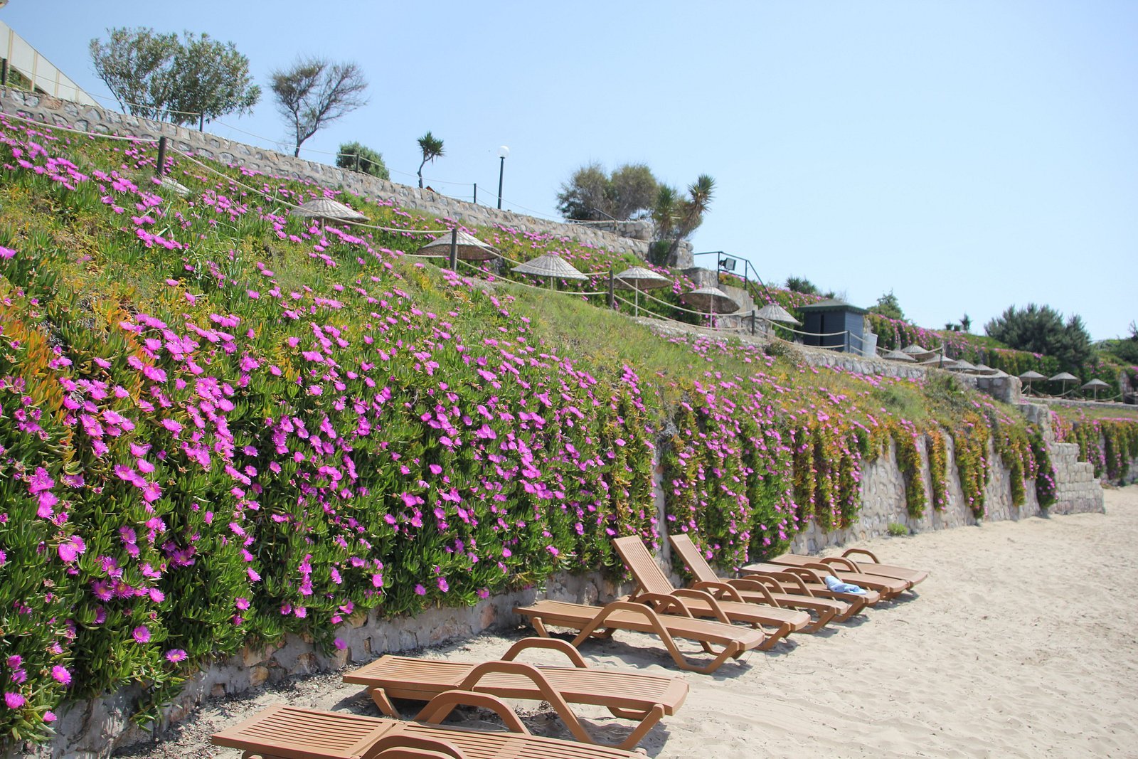 Hotel Babaylon photo 19