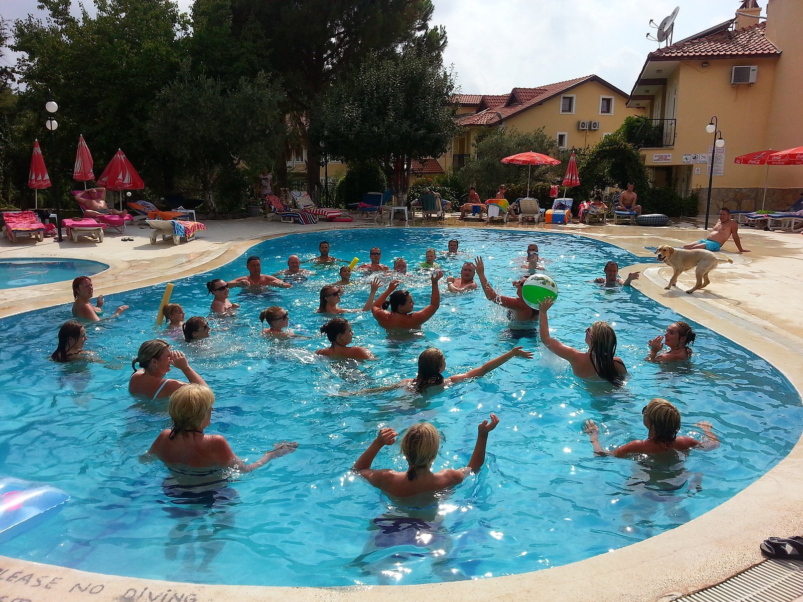 Gokcen Hotel & Aparments photo 4