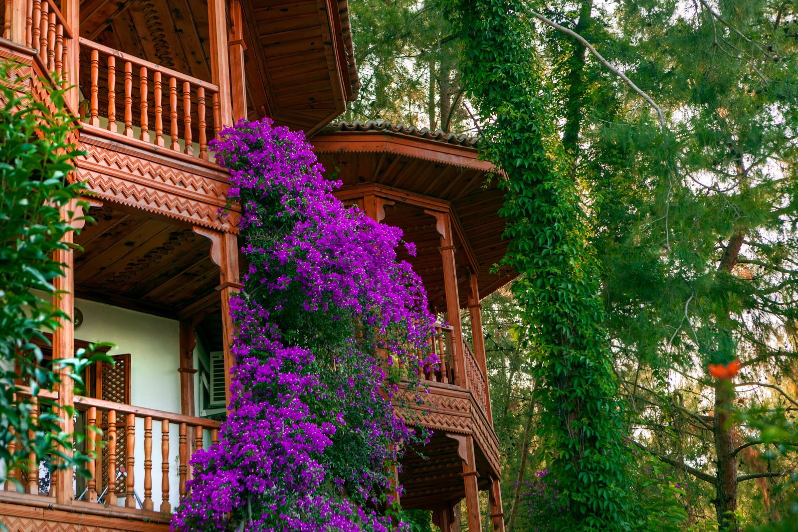 Club & Hotel Letoonia photo 8