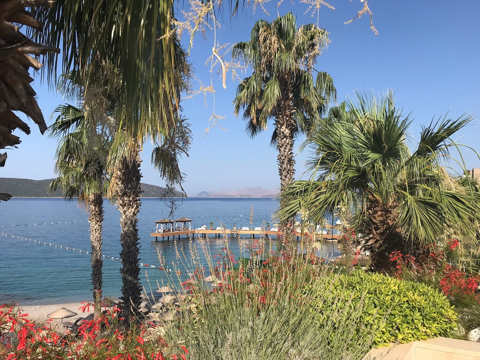 TUI MAGIC LIFE Bodrum - Adults Only photo 6