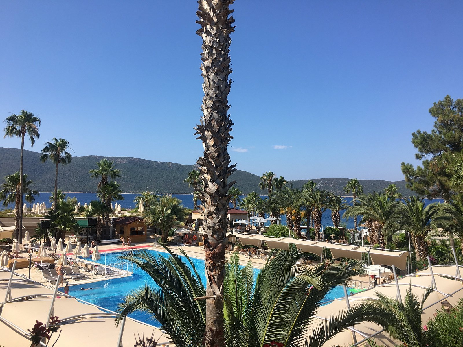 TUI MAGIC LIFE Bodrum - Adults Only photo 15