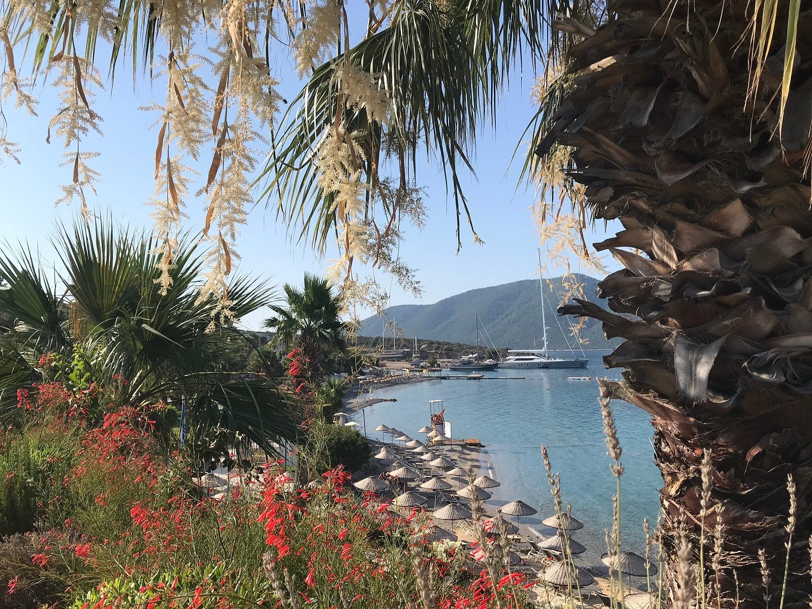 TUI MAGIC LIFE Bodrum - Adults Only photo 7
