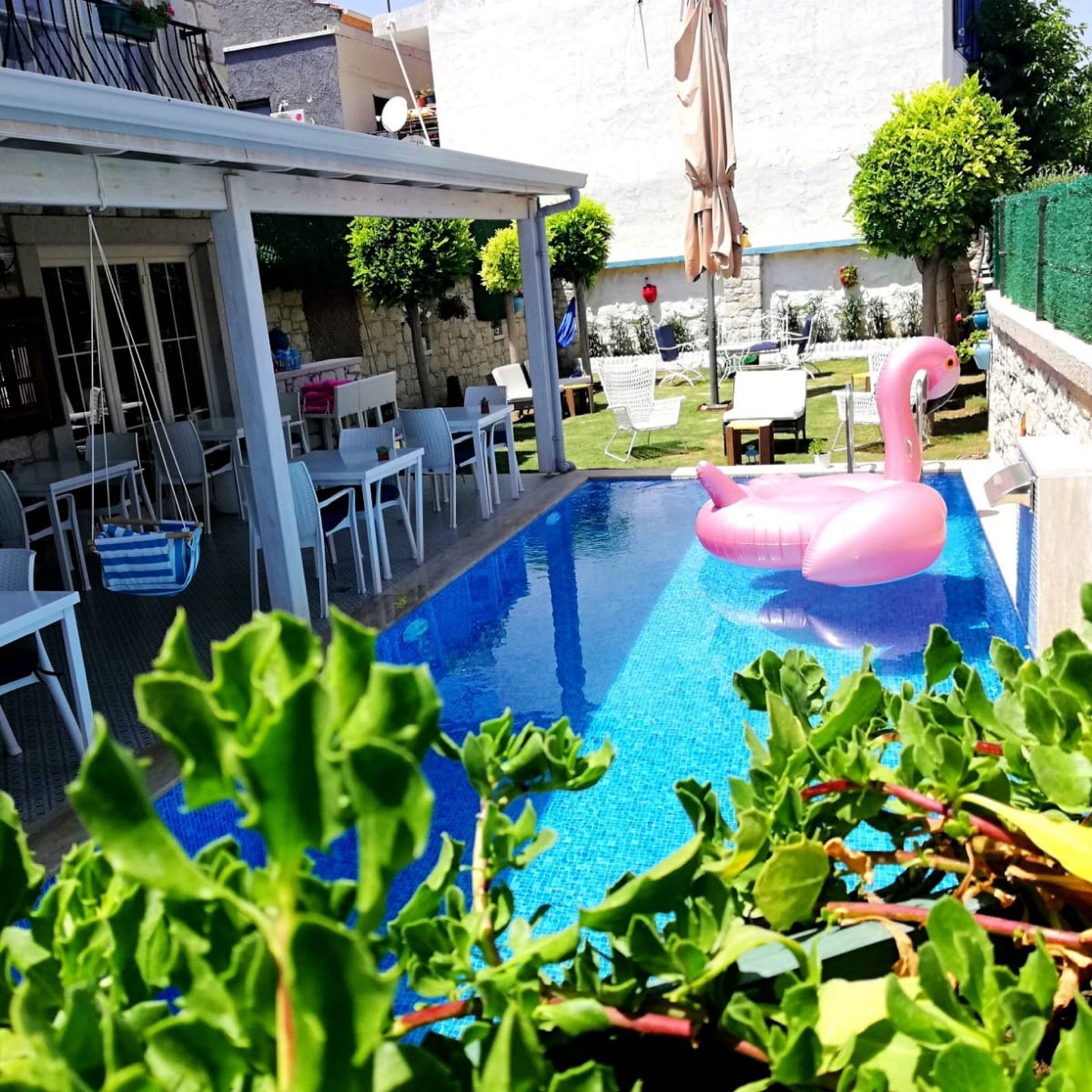 MyAdress Alacati Hotel photo 14
