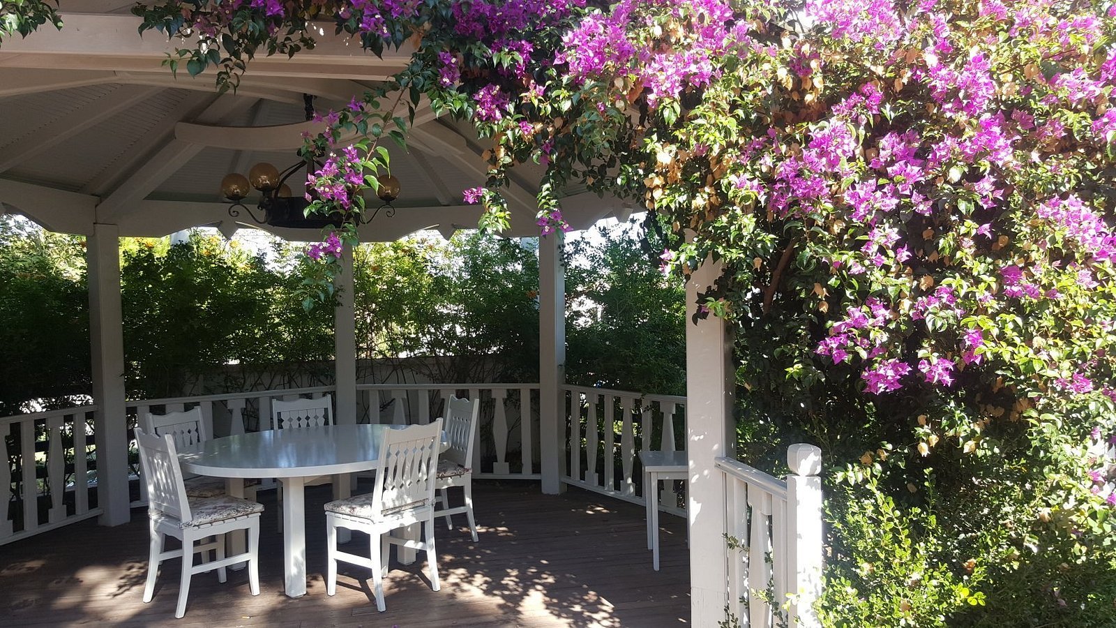 Sea Breeze Apart Hotel photo 3