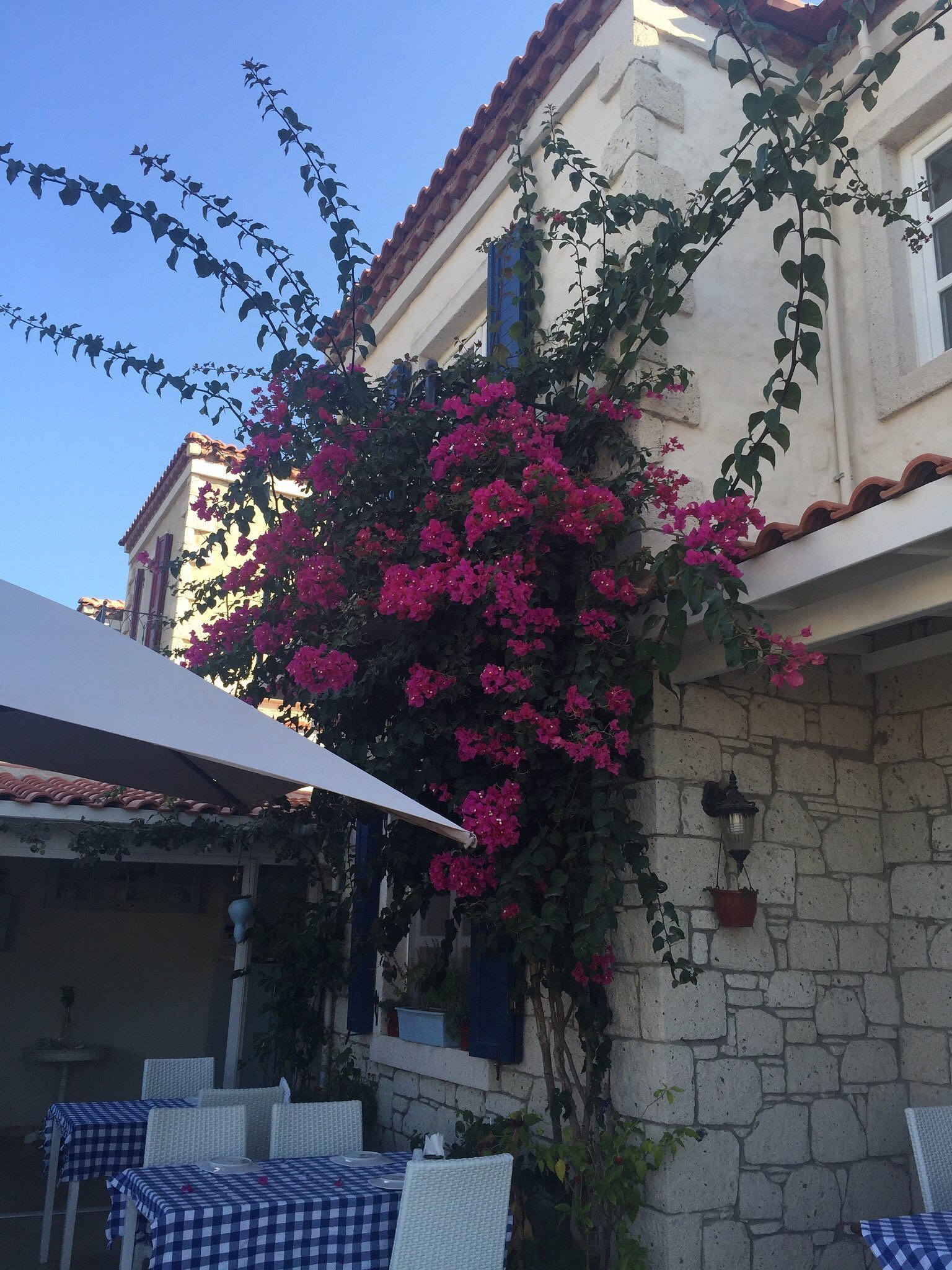 Alanarin Konak photo 4