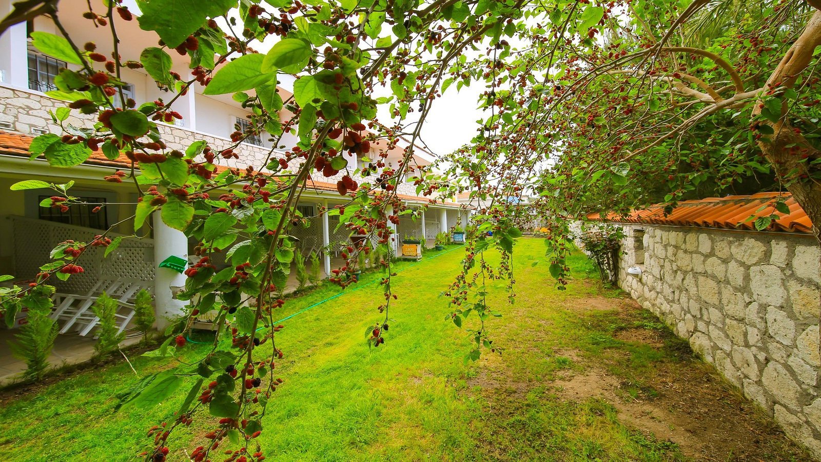 Alasonya Otel Alacati by Lamira photo 3