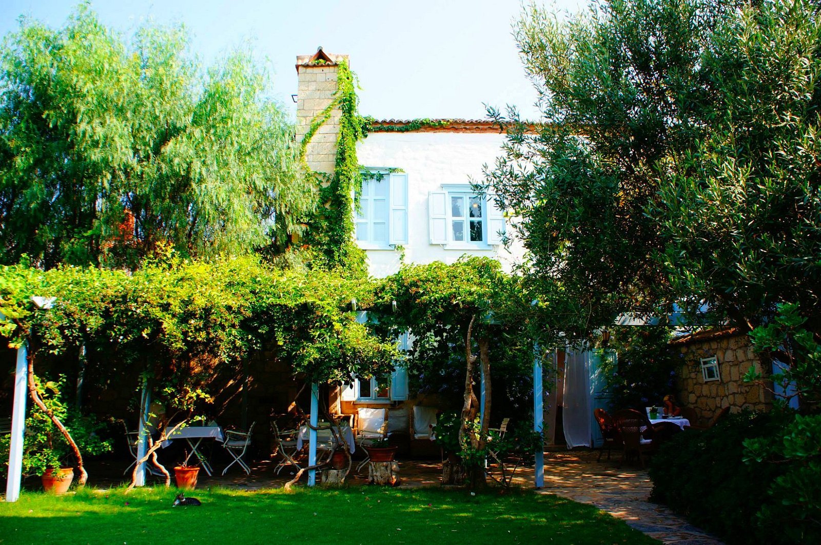 Alacati Tas Otel photo 3