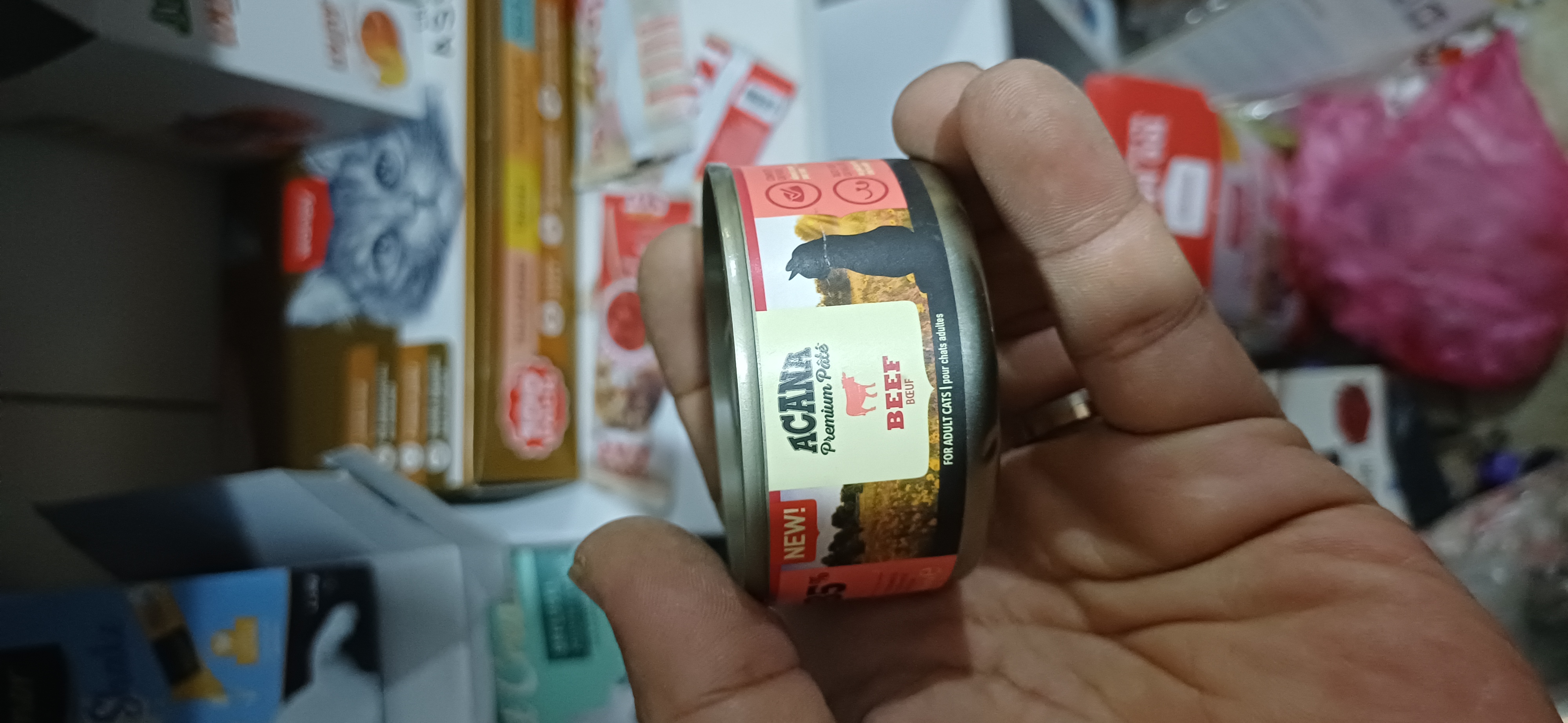 Acana Kedi Konserve Sığır Etli