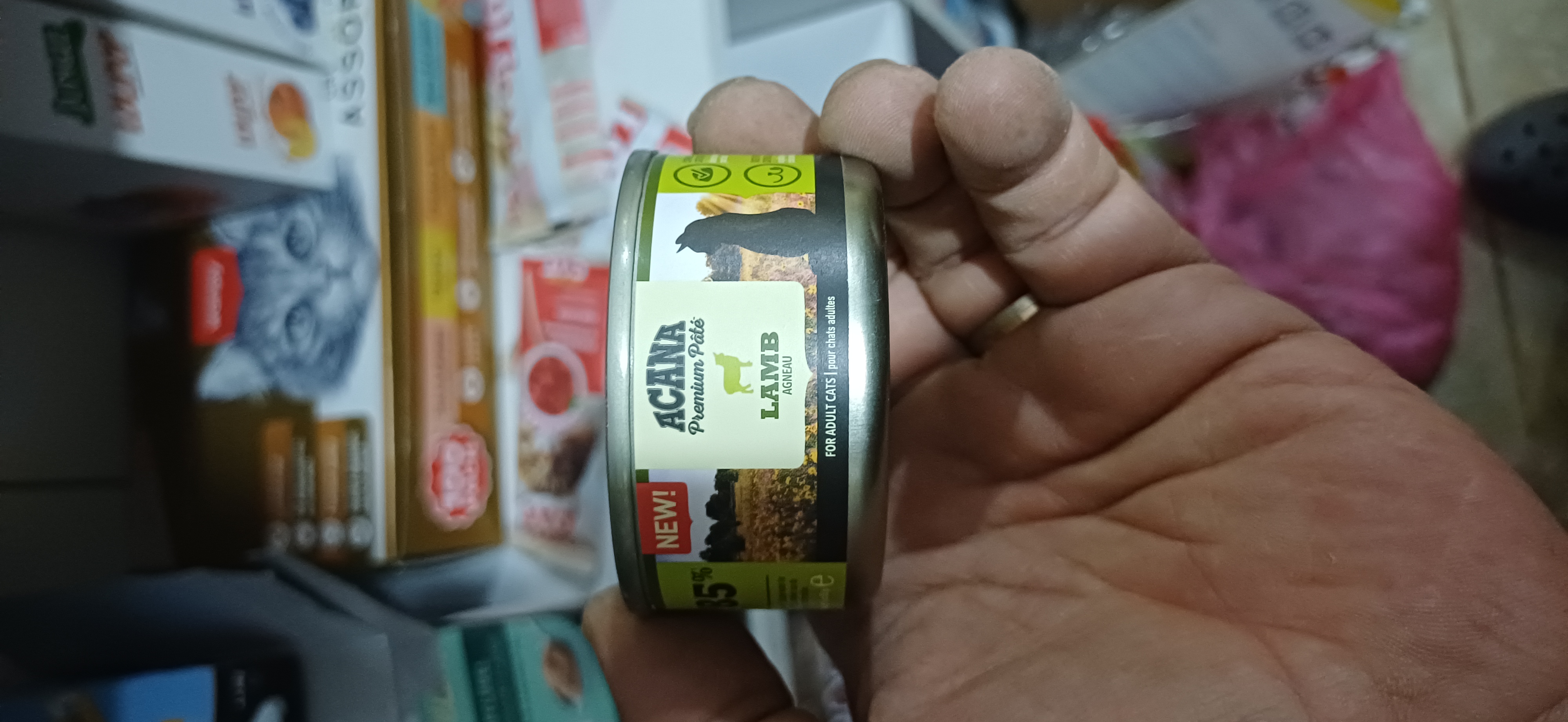 Acana Kedi Konserve Kuzu Etli