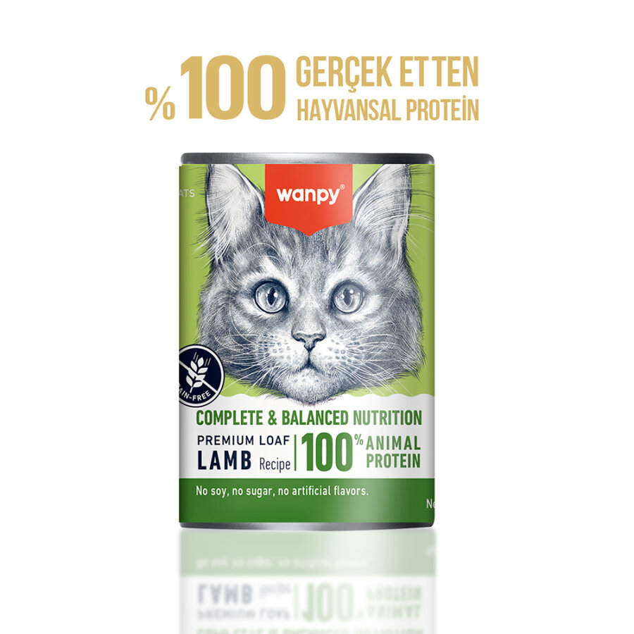 Wanpy Kedi Konserve Mama 375 Gr Kuzulu