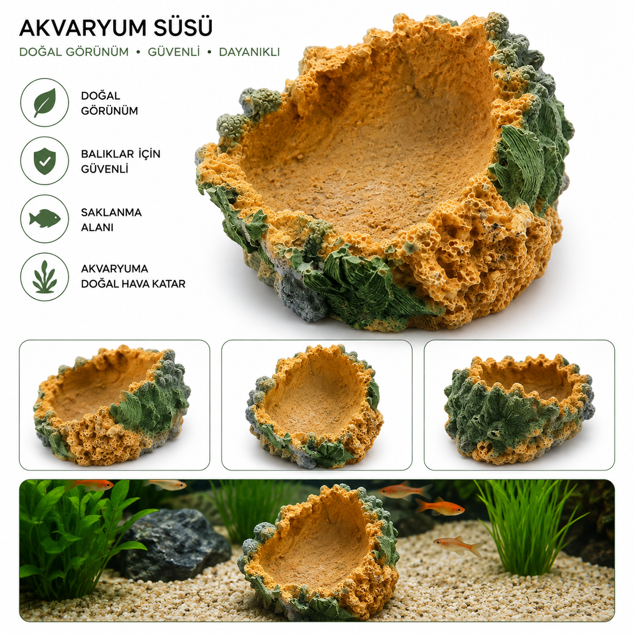 Akaryum Dekor