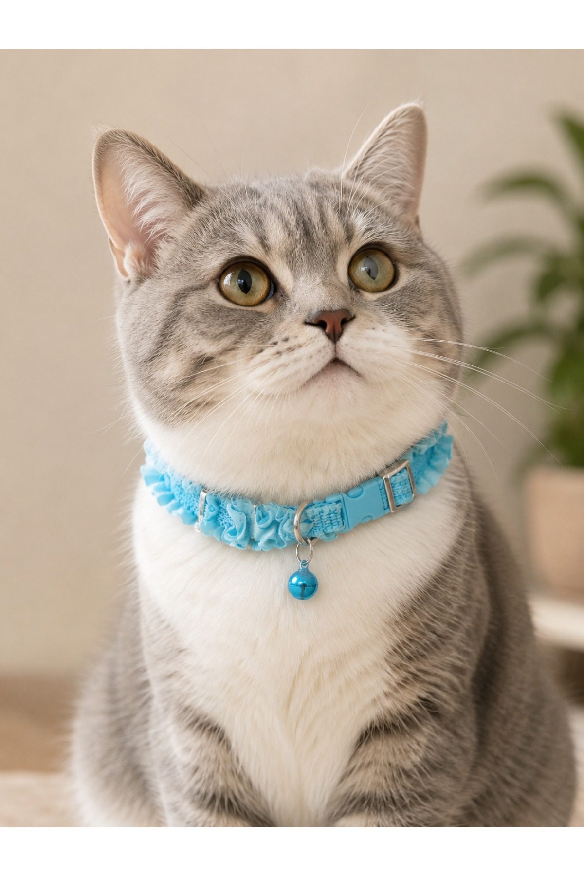 Kedi Boyun Tasması Mavi Fistolu Zilli Ayarlanabilir Güvenlik Kilitli Kedi Tasması