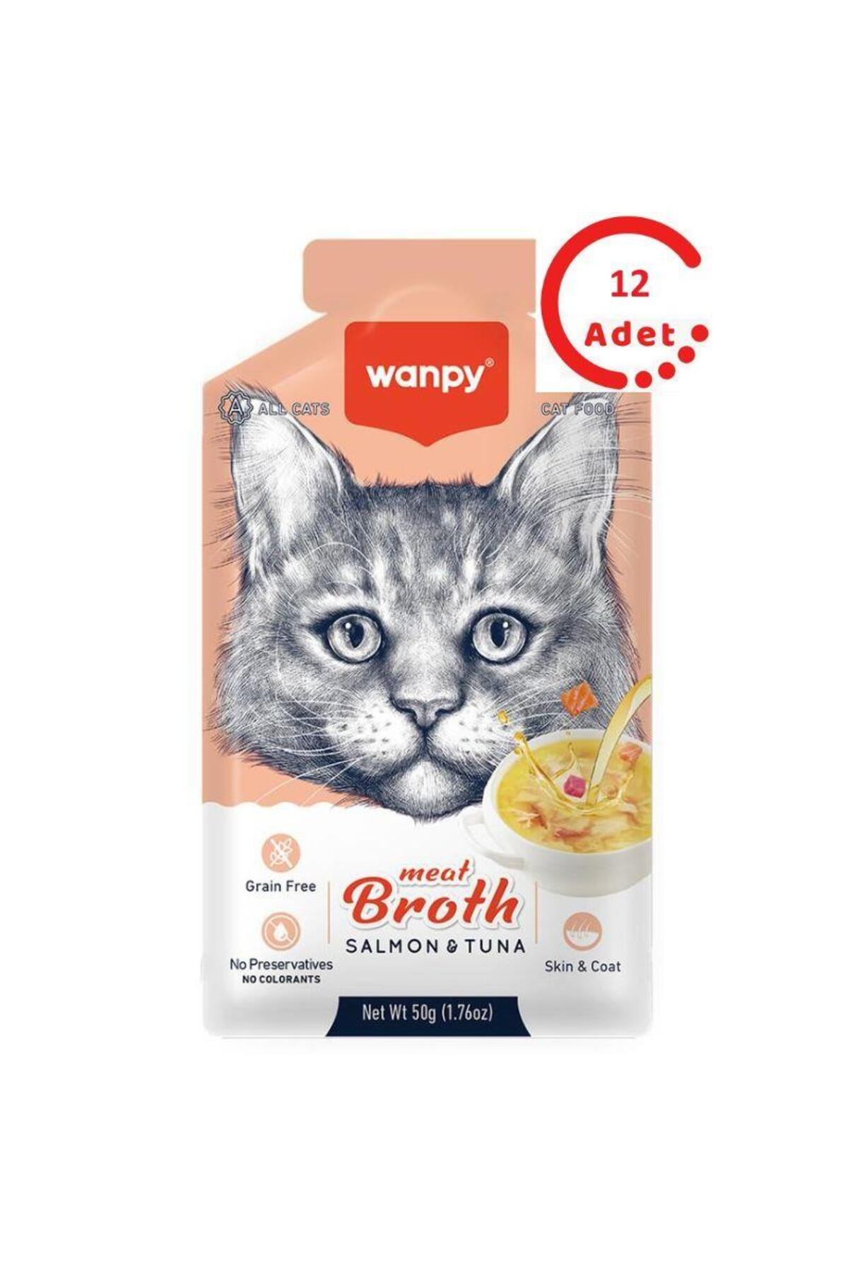 Wanpy Kedi Çorba Somon Ton X 12