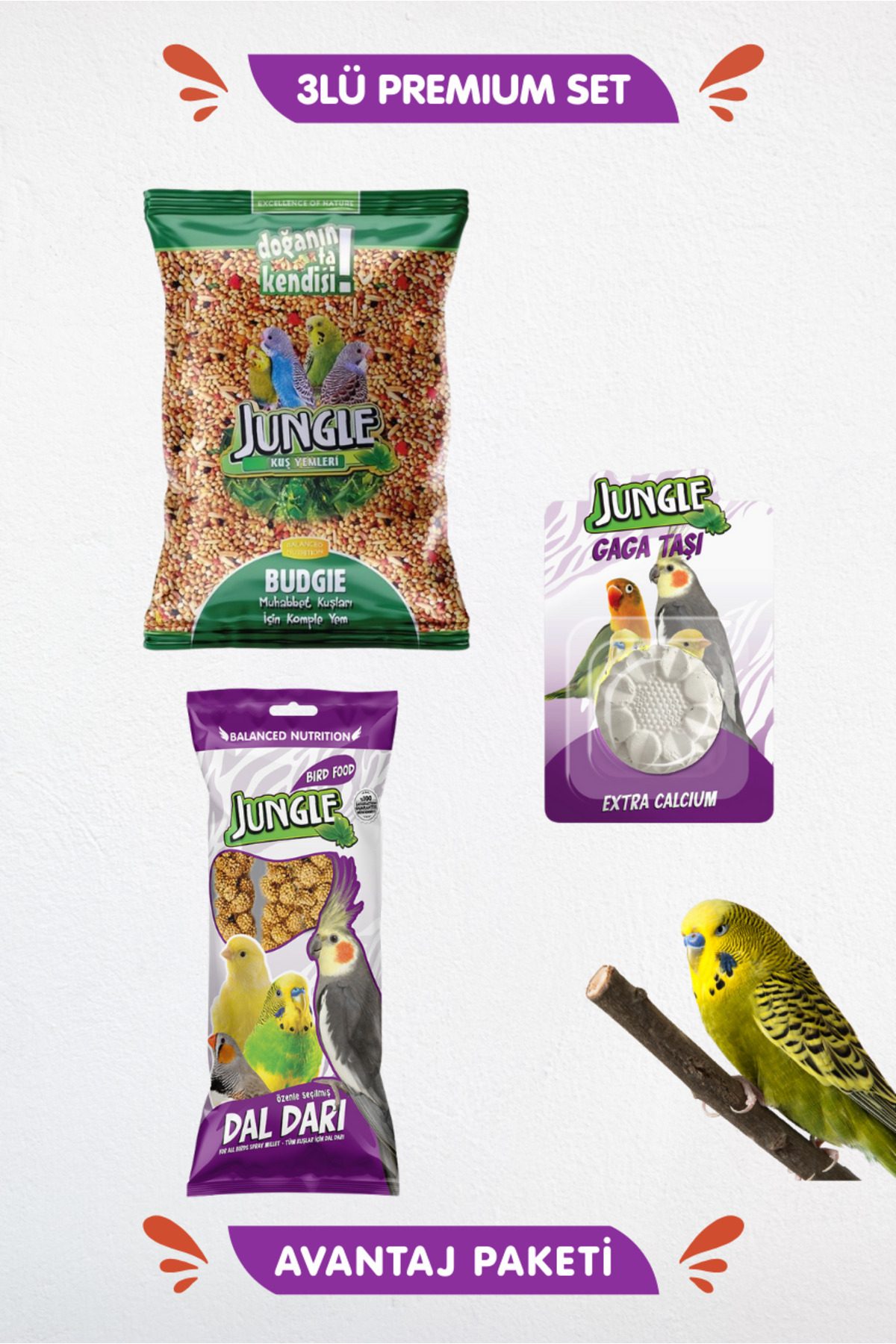 Jungle Kuş 3 lü Set