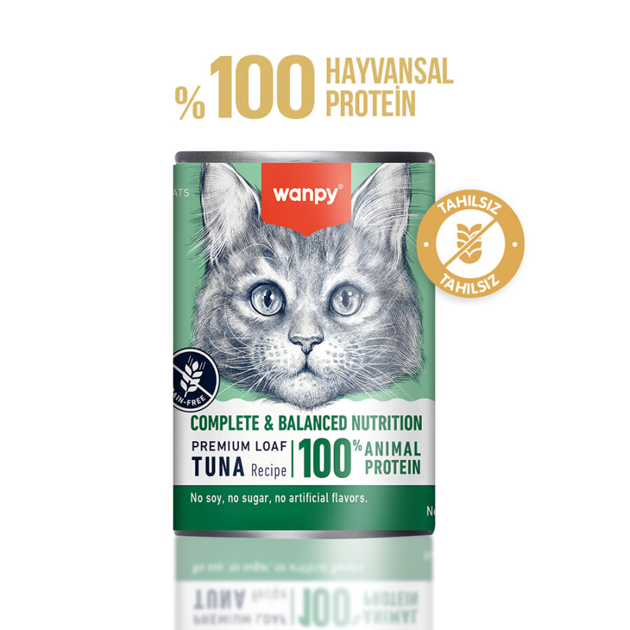 Wanpy Kedi Konserve Mama 375 Gr Ton Balıklı
